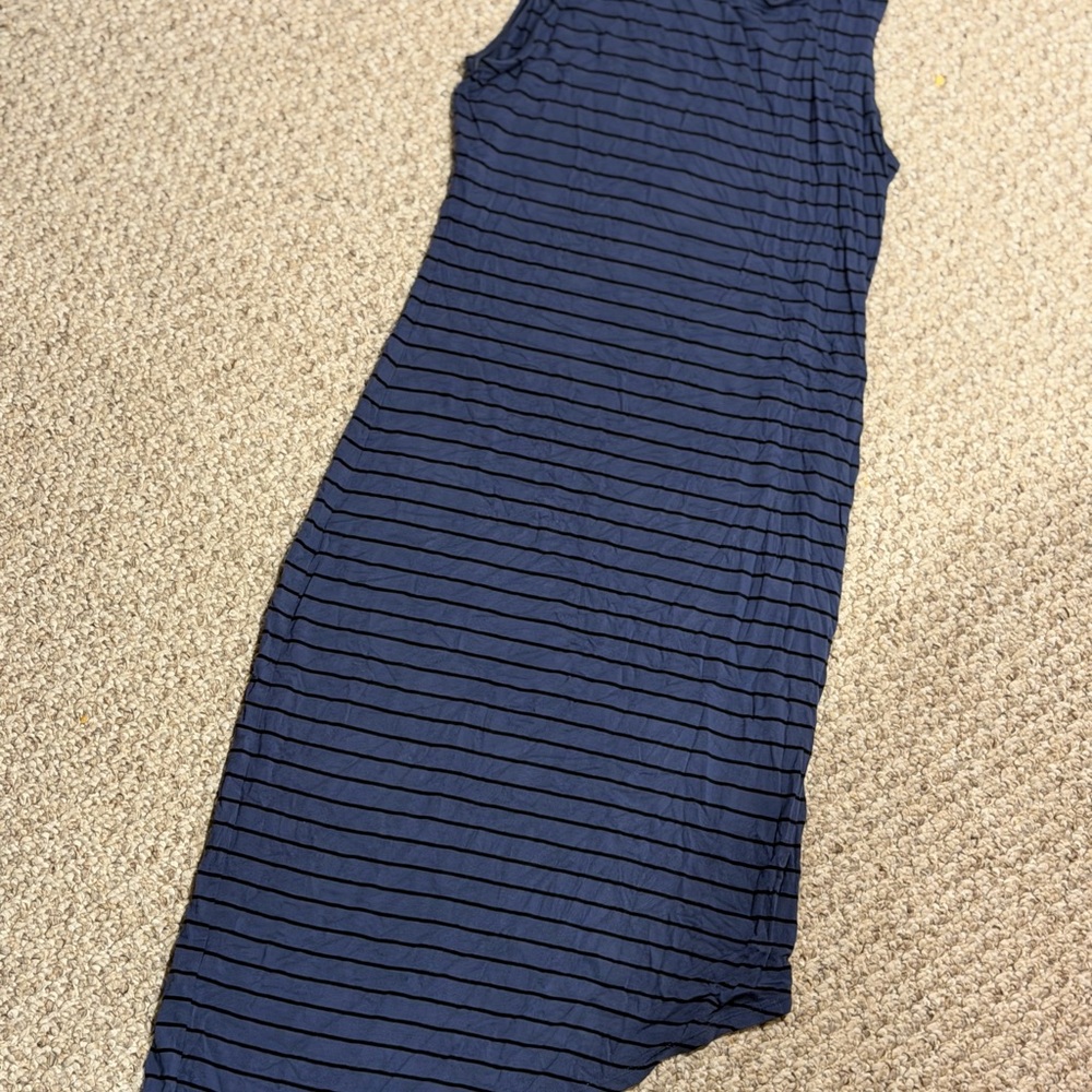 Express Navy Blue Striped Dress